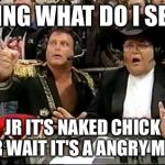 Jim Ross | KING WHAT DO I SEE; JR IT'S NAKED CHICK OR WAIT IT'S A ANGRY MOB | image tagged in jim ross | made w/ Imgflip meme maker