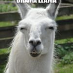 drama llama | BEWARE!! DRAMA LLAMA; ON THE LOOSE. | image tagged in drama llama | made w/ Imgflip meme maker