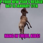 It's a meme plus a cheesy joke! ;) | DUMP YOUR NEW YEAR'S RESOLUTION DAY IS JANUARY 17TH; HANG IN THERE, KIDS! | image tagged in hang in there | made w/ Imgflip meme maker