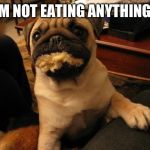 Guilty Dog | I'M NOT EATING ANYTHING... | image tagged in guilty dog,eating,animal | made w/ Imgflip meme maker