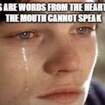 It's Beautiful | TEARS ARE WORDS FROM THE HEART,THAT THE MOUTH CANNOT SPEAK | image tagged in it's beautiful | made w/ Imgflip meme maker