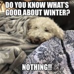 Winter | DO YOU KNOW WHAT’S GOOD ABOUT WINTER? NOTHING!! | image tagged in winter | made w/ Imgflip meme maker