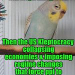 Cause & Effect | TFW ppl are more concerned with illegal immigration; Then the US Kleptocracy collapsing economies & imposing regime changes that force ppl to flee their homelands | image tagged in sceptical budgie,oligarchy | made w/ Imgflip meme maker