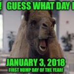 Mike!  Mike!  Mike! | MIKE!   GUESS WHAT DAY IT IS? JANUARY 3, 2018; FIRST HUMP DAY OF THE YEAR! | image tagged in hump day camel | made w/ Imgflip meme maker