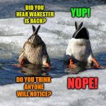 Same Wakester Different Name | YUP! DID YOU HEAR WAKESTER IS BACK? NOPE! DO YOU THINK ANYONE WILL NOTICE? | image tagged in wakester is back,ducks,happy new year | made w/ Imgflip meme maker