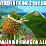 vacation kermit | IF YOU LIKE PINA COLADA'S; AND WALKING FROGS ON A LEASH | image tagged in vacation kermit | made w/ Imgflip meme maker