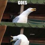 inhaling seagull 4 red | THE TING; GOES; SKRAAAAAAAAAAAAA | image tagged in inhaling seagull 4 red | made w/ Imgflip meme maker