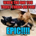 Steve Bannon Sneak Attack!
 | WHEN THE ONE YOU TRUST TURNS ON YOU! EPIC!!!! | image tagged in cat dog fight,donald trump,steve bannon,republican party | made w/ Imgflip meme maker