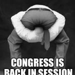 liberals problem | CONGRESS IS BACK IN SESSION | image tagged in liberals problem | made w/ Imgflip meme maker