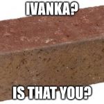 brick | IVANKA? IS THAT YOU? | image tagged in brick | made w/ Imgflip meme maker