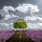 meadow choice | Choices you once made; Are reflected in your life. Choose good to live well. | image tagged in meadow choice | made w/ Imgflip meme maker
