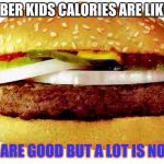 Hamburger | REMEMBER KIDS CALORIES ARE LIKE GIRLS; A FEW ARE GOOD BUT A LOT IS NO GOOD | image tagged in hamburger | made w/ Imgflip meme maker