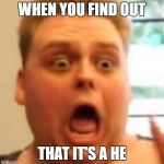 Nick Crompton | WHEN YOU FIND OUT; THAT IT'S A HE | image tagged in nick crompton | made w/ Imgflip meme maker