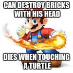Mario Time! | CAN DESTROY BRICKS WITH HIS HEAD; DIES WHEN TOUCHING A TURTLE | image tagged in mario time | made w/ Imgflip meme maker