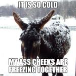 Cold Ass | IT IS SO COLD; MY ASS CHEEKS ARE FREEZING TOGETHER | image tagged in cold ass | made w/ Imgflip meme maker