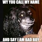 only call me for treats | WY YOU CALL MY NAME; AND SAY I AM BAD BOY | image tagged in y doggo,betrayal,confusion,dog,crazy eyes,huh | made w/ Imgflip meme maker