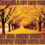 Autumn trees | FRIENDS ARE A LOT LIKE TREES..... THEY FALL DOWN WHEN HIT MULTIPLE TIMES WITH AN AX | image tagged in friends,trees,funny,memes,funny memes | made w/ Imgflip meme maker