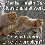 Monkeys | VA Mental Health Care Professionals at work... "So, what seems to be the problem?" | image tagged in monkeys | made w/ Imgflip meme maker