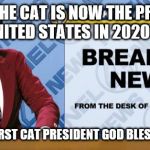 Ron Burgandy | TOMMI THE CAT IS NOW THE PRESIDENT OF THE UNITED STATES IN 2020 ELECTION; HE IS THE FIRST CAT PRESIDENT GOD BLESS MEOWICA | image tagged in ron burgandy | made w/ Imgflip meme maker