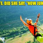 Next time use an air horn | NOW WAIT MINUTE. DID SHE SAY, "NOW JUMP, OR NO JUMP”?! | image tagged in bungee jumping,pronunciation,true story,aussie | made w/ Imgflip meme maker