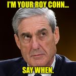 Robert Mueller | I'M YOUR ROY COHN... SAY WHEN. | image tagged in robert mueller | made w/ Imgflip meme maker
