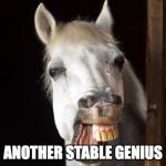 horse smile | ANOTHER STABLE GENIUS | image tagged in horse smile | made w/ Imgflip meme maker
