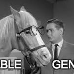 Mr. Ed | STABLE          GENIUS | image tagged in mr ed | made w/ Imgflip meme maker