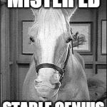 Mister Ed: The Original Stable Genius | MISTER ED; STABLE GENIUS | image tagged in mister ed telephone,stable genius | made w/ Imgflip meme maker
