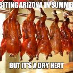 Roast Duck | VISITING ARIZONA IN SUMMER... BUT IT'S A DRY HEAT | image tagged in roast duck | made w/ Imgflip meme maker