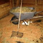 stable mucking