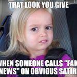 That Look You Give When Someone Calls "Fake News" on Obvious Sature | THAT LOOK YOU GIVE; WHEN SOMEONE CALLS "FAKE NEWS" ON OBVIOUS SATIRE | image tagged in huh,fake news,that look you give | made w/ Imgflip meme maker