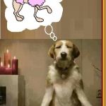 My Guru is a Dog | A-oo, Werewolves of Mantra | image tagged in vince vance,dogs,dog memes,mantra,om,dog meditating | made w/ Imgflip meme maker