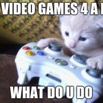mlg cat | I PLAY VIDEO GAMES 4 A LIVING; WHAT DO U DO | image tagged in mlg cat | made w/ Imgflip meme maker