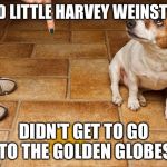 Look at the mess you've made | AND LITTLE HARVEY WEINSTEIN; DIDN'T GET TO GO TO THE GOLDEN GLOBES | image tagged in dog in trouble,harvey weinstein,golden globes | made w/ Imgflip meme maker