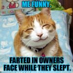 Cute Smiling Cat | ME FUNNY. FARTED IN OWNERS FACE WHILE THEY SLEPT. | image tagged in cute smiling cat | made w/ Imgflip meme maker