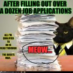 Business Cat | AFTER FILLING OUT OVER A DOZEN JOB APPLICATIONS; ALL I'M QUALIFIED TO DO IS READ THROUGH THE BOSS'S MAIL. MEOW... | image tagged in business cat | made w/ Imgflip meme maker