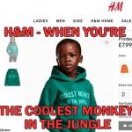 Brilliant! | H&M - WHEN YOU'RE; THE COOLEST MONKEY IN THE JUNGLE | image tagged in hm coolest monkey,racist,offended,triggered | made w/ Imgflip meme maker