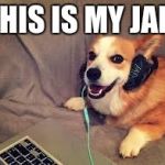 corgi headphones | THIS IS MY JAM | image tagged in corgi headphones | made w/ Imgflip meme maker