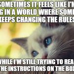 Sad cat | SOMETIMES IT FEELS LIKE I'M LIVING IN A WORLD WHERE SOMEBODY KEEPS CHANGING THE RULES. WHILE I'M STILL TRYING TO READ THE INSTRUCTIONS ON THE BOX. | image tagged in sad cat | made w/ Imgflip meme maker