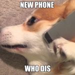 Corgi on the phone  | NEW PHONE; WHO DIS | image tagged in corgi on the phone | made w/ Imgflip meme maker