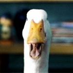 Aflac Duck