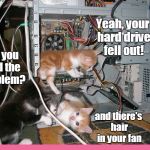 Geek Week-- technic-awww support | Yeah, your hard drive fell out! Did you find the problem? and there's hair in your fan | image tagged in kittens fixing a computer,computer,kittens | made w/ Imgflip meme maker
