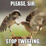 No more tweeting | PLEASE, SIR. STOP TWEETING. | image tagged in no more tweeting | made w/ Imgflip meme maker