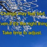winter tree limb with snow | Change may feel bad, Even if it's the right thing. Take time to adjust. | image tagged in winter tree limb with snow | made w/ Imgflip meme maker