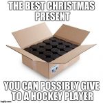 Hockey Puck | THE BEST CHRISTMAS PRESENT; YOU CAN POSSIBLY GIVE TO A HOCKEY PLAYER | image tagged in hockey puck | made w/ Imgflip meme maker