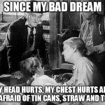 Wizard Of Oz | SINCE MY BAD DREAM; MY HEAD HURTS, MY CHEST HURTS AND I'M AFRAID OF TIN CANS, STRAW AND TOTO! | image tagged in wizard of oz | made w/ Imgflip meme maker