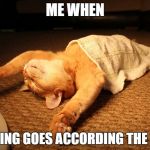 Chilling out cat | ME WHEN; NOTHING GOES ACCORDING THE PLAN | image tagged in chilling out cat | made w/ Imgflip meme maker