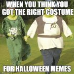 Shrek | WHEN YOU THINK YOU GOT THE RIGHT COSTUME; FOR HALLOWEEN MEMES | image tagged in shrek | made w/ Imgflip meme maker