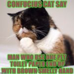 CONFUCIUS CAT | CONFUCIUS CAT SAY; MAN WHO USE ONE PLY TOILET PAPER END UP WITH BROWN SMELLY HAND | image tagged in confucius cat | made w/ Imgflip meme maker
