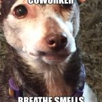 Mister | WHEN YOUR COWORKER; BREATHE SMELLS LIKE DEATH | image tagged in mister | made w/ Imgflip meme maker